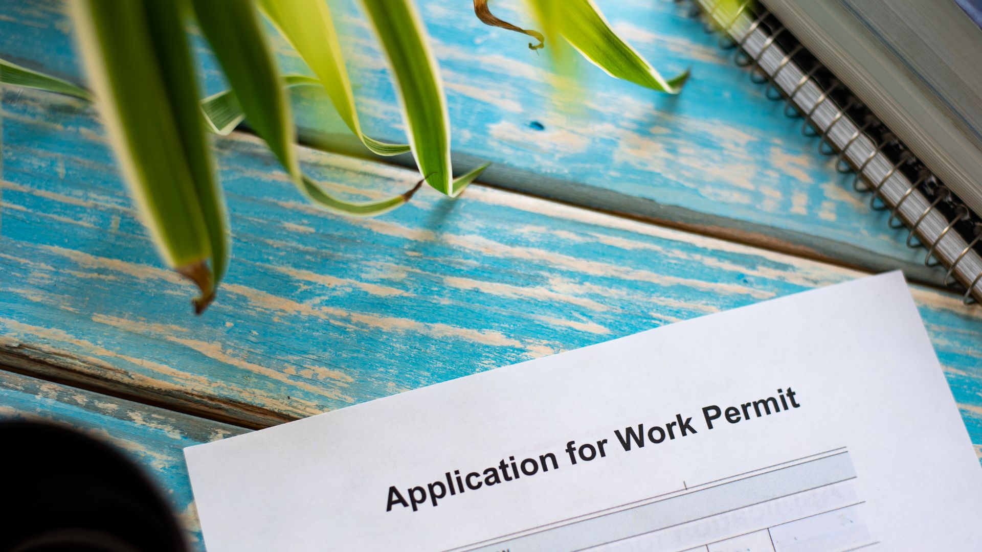 Business Immigration - Application for Work Permit in Canada