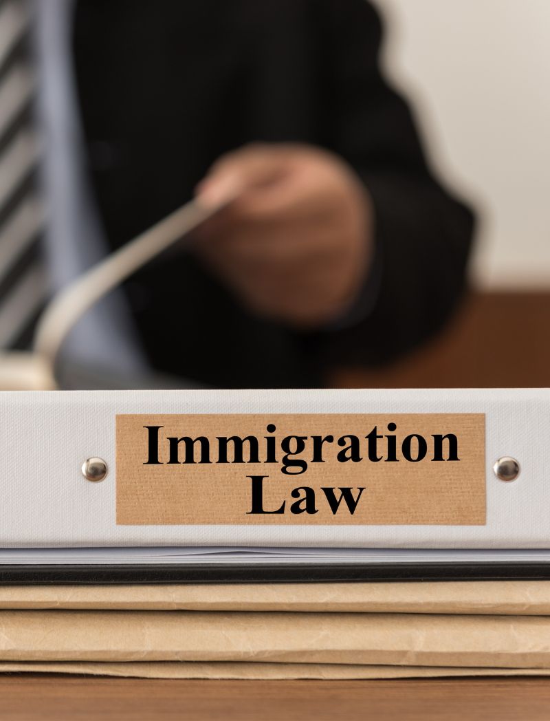 Spousal Sponsorship Legal Guidance - Immigration Law Binder